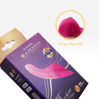 Panty Vibrador Tinker